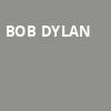 Bob Dylan, Suncoast Credit Union Arena, Fort Myers